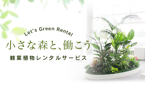 観葉植物レンタルサービス