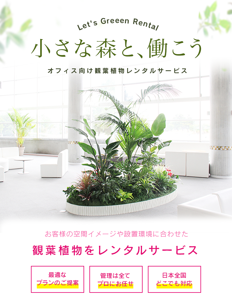 小さな森と 働こう オフィス向け観葉植物レンタルサービス オフィス家具のカグクロ