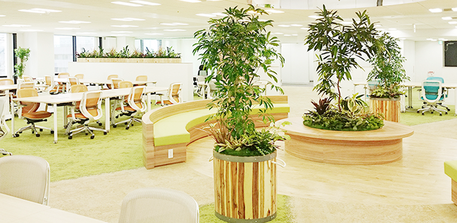 小さな森と 働こう オフィス向け観葉植物レンタルサービス オフィス家具のカグクロ