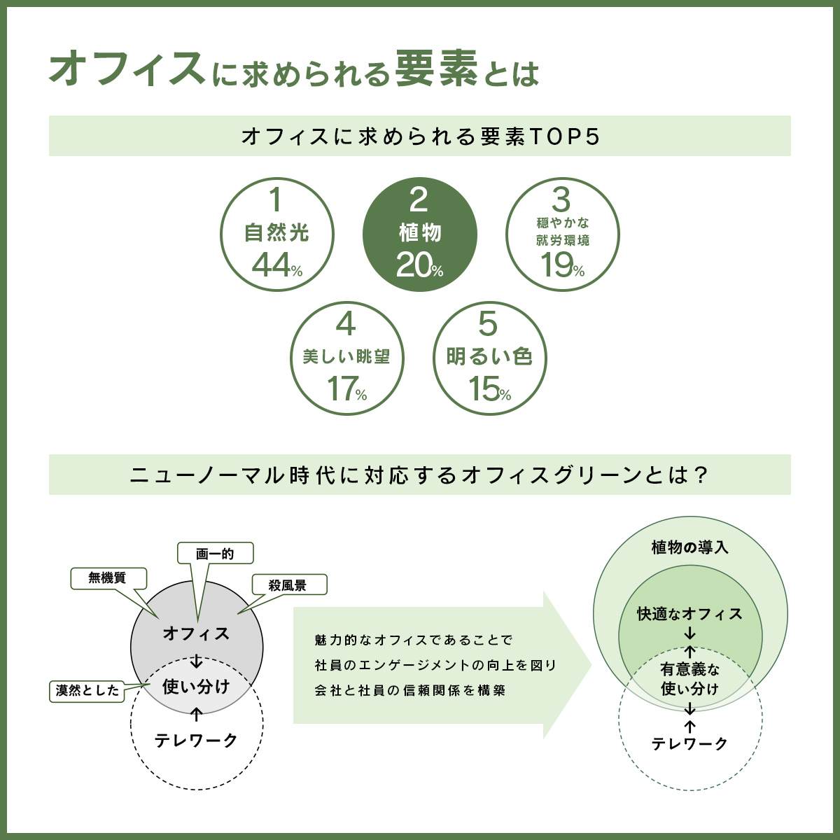 ベンジャミンダブル(人工樹木) 1台 - 4